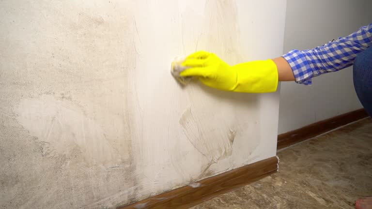Best Mold Prevention Services  in Kualapuu, HI