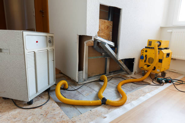 Best Mold Documentation for Insurance Claims  in Kualapuu, HI