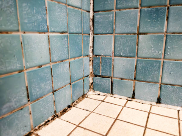 Kualapuu, HI Mold Removal Company