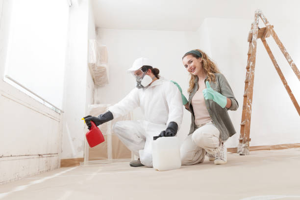 Best Mold Removal for HVAC Installations  in Kualapuu, HI